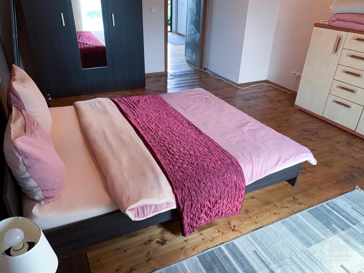 Apartamentai Birzuose, Double Bedroom And Single Bedroom Apartments Biržai Zewnętrze zdjęcie